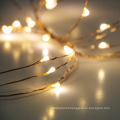 Warm White Mini LED Copper Wire String Light